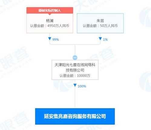 楊瀾新公司業務擴展 新能源汽車銷售與信息系統集成服務