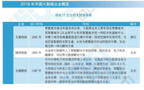 2018中國大數據企業報告出爐，天夏科技榮登IT企業大數據布局榜信息系統集成服務領域